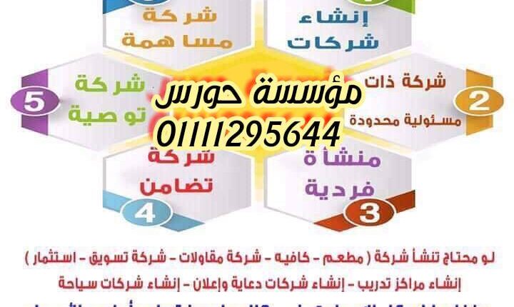 تأسيس الشركات في مصر Pdf