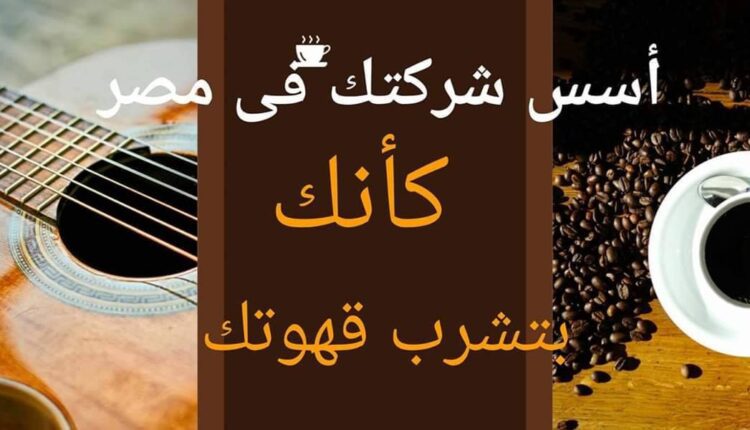 تأسيس الشركات في مصر pdf