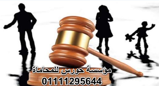 محامي احوال شخصية شاطر في القاهرة