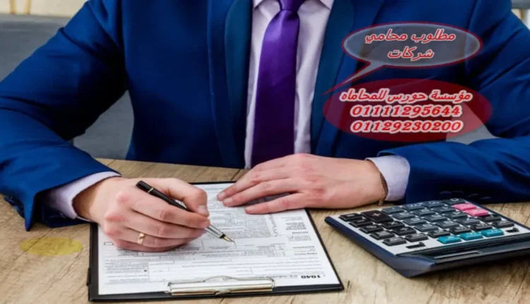 مطلوب محامي شركات