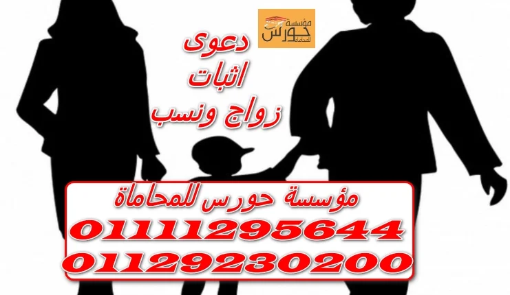 دعوى إثبات زواج ونسب