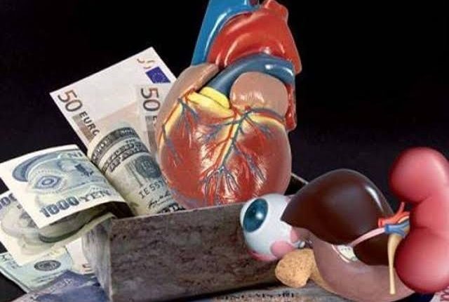 أنواع وعقوبات جريمة الاتجار فى الأعضاء البشرية