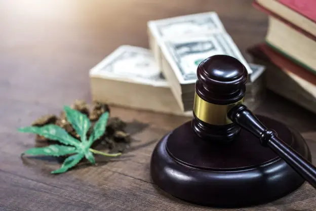 قانون المخدرات الجديد