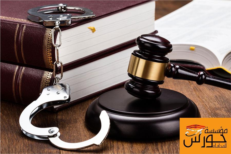 المحامي الجنائي